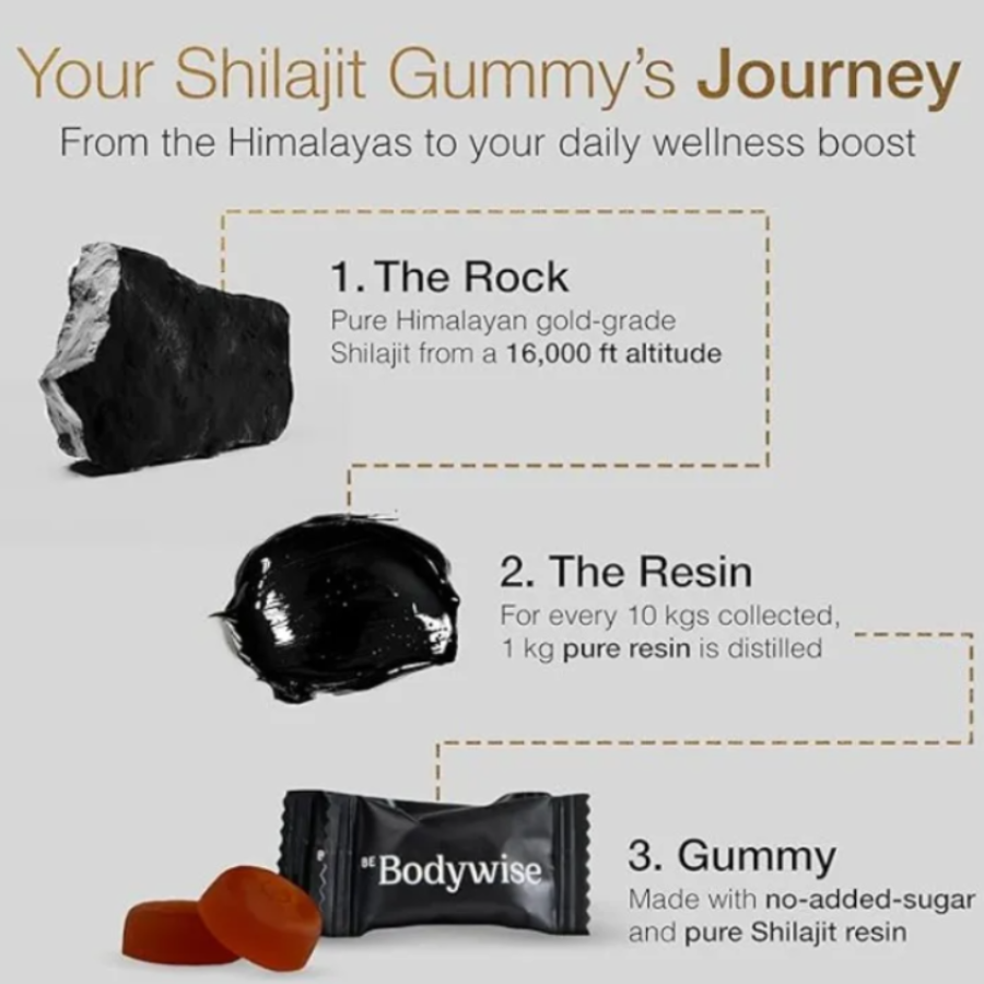 Suplemento Shilajit Gomas 60 Pcs 3000mg